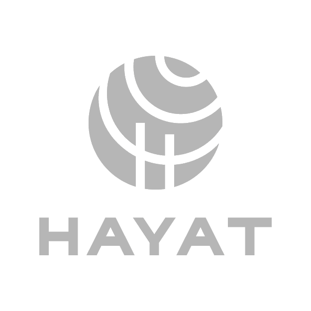 Hayat Holding